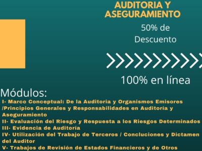 Diplomado Auditoria-NIAS-Normas Internacionales de Auditoría y Aseguramiento-Virtual-Online