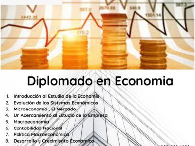 Diplomado en Economía Microeconomía y Macroeconomía-Virtual-Online